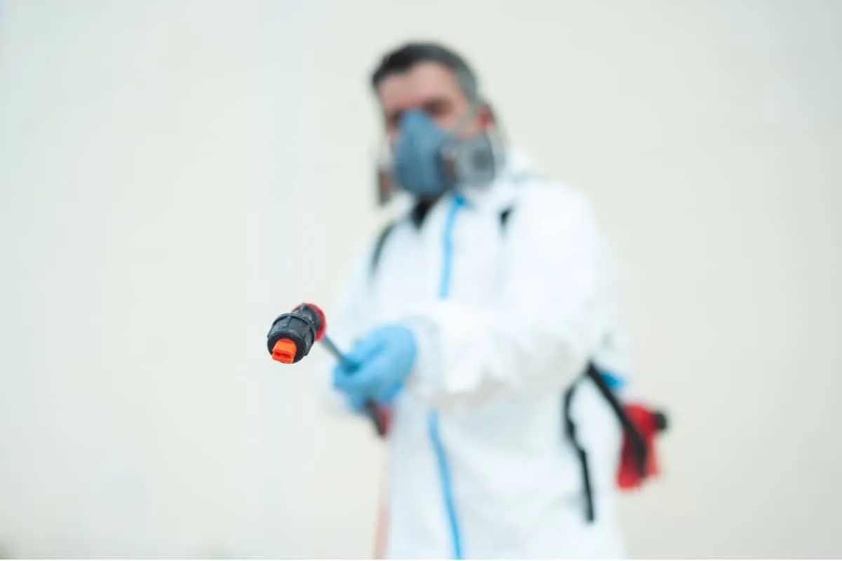 Professionell sanering av bostad i skyddsutrustning